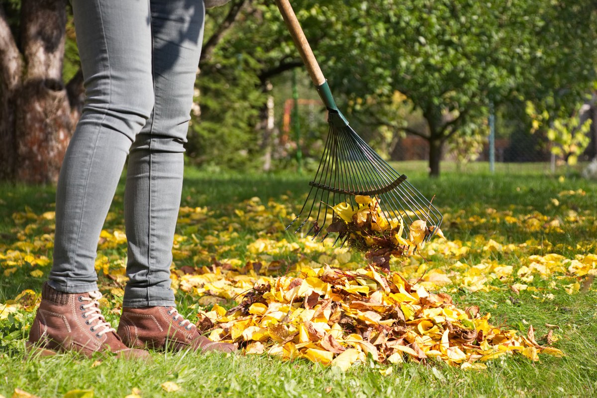 Gras onderhoud najaar Gras onderhoud najaar