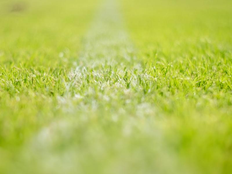 4 tips voor gras kalken  4 tips voor gras kalken