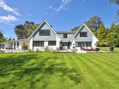 Eén grassoort voor alle doeleinden | Hendriks Graszoden