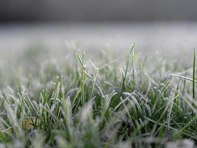 Speciale winteraanpak graszoden