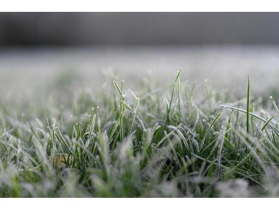 Speciale winteraanpak graszoden