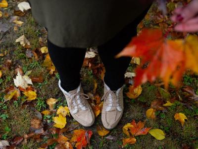 Gras onderhouden najaar | Hendriks Graszoden
