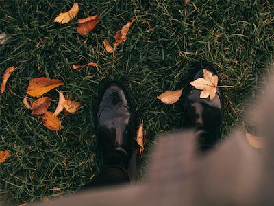 Alles wat u moet weten voor uw gazon in de herfst | Hendriks Graszoden