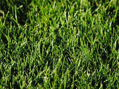 Bodemtest gazon | Hendriks Graszoden