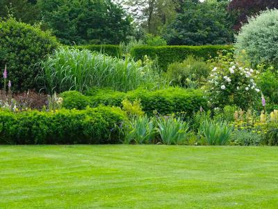 De tuintrends van 2024 | Hendriks Graszoden