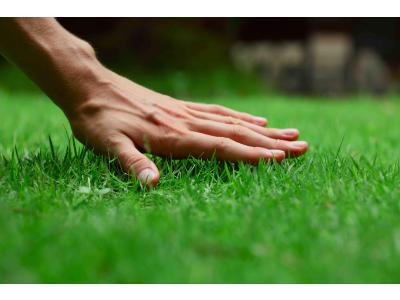 Gaten in uw gazon? Zo kunt u uw gras voller maken!