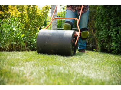 Gazonwals: wat is het en wanneer (niet) te gebruiken