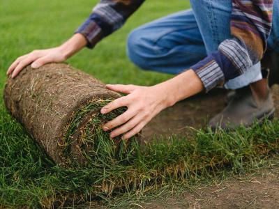Steeds meer gras in de tuin dankzij het NK Tegelwippen
