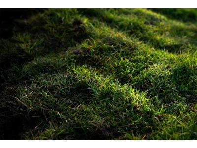 Gazon met schaduw en weinig zonlicht in de winter