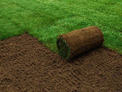 Waarom moet u juist nu graszoden leggen