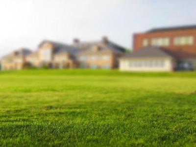 Het gras is altijd groener bij de buren, maar niet na Burendag!