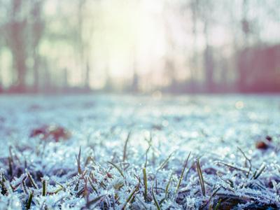 Moet u het gras met rust laten in de wintermaanden? | Hendriks Graszoden