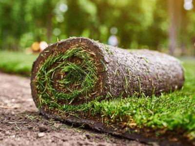 Nieuw gazon aanleggen op oud gazon: voordelen en nadelen