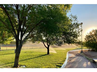 Uw gazon mooi houden tijdens uw afwezigheid