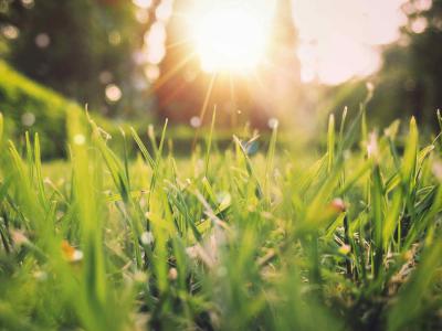 Vijf tips om uw tuin klaar te maken voor de lente