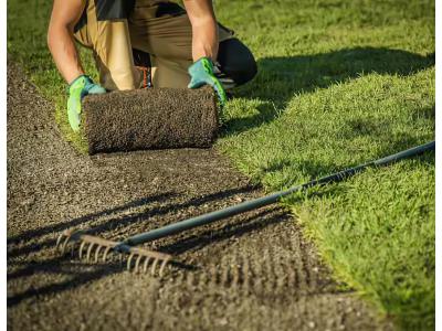 Graszoden leggen in maart