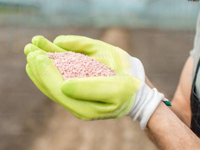 Waarom kalium goed is voor uw gras |Hendriks Graszoden