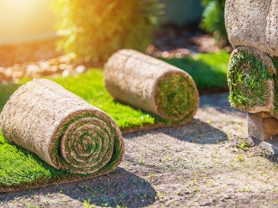 Waarom nu alvast graszoden kopen? | Hendriks Graszoden
