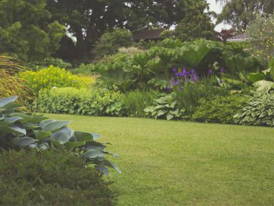 Werkzaamheden in februari om de tuin alvast lenteklaar te maken | Hendriks Graszoden