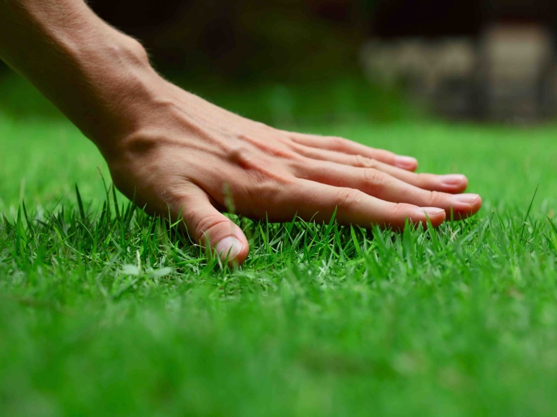 Gaten in uw gazon? Zo kunt u uw gras voller maken! Gaten in uw gazon? Zo kunt u uw gras voller maken!