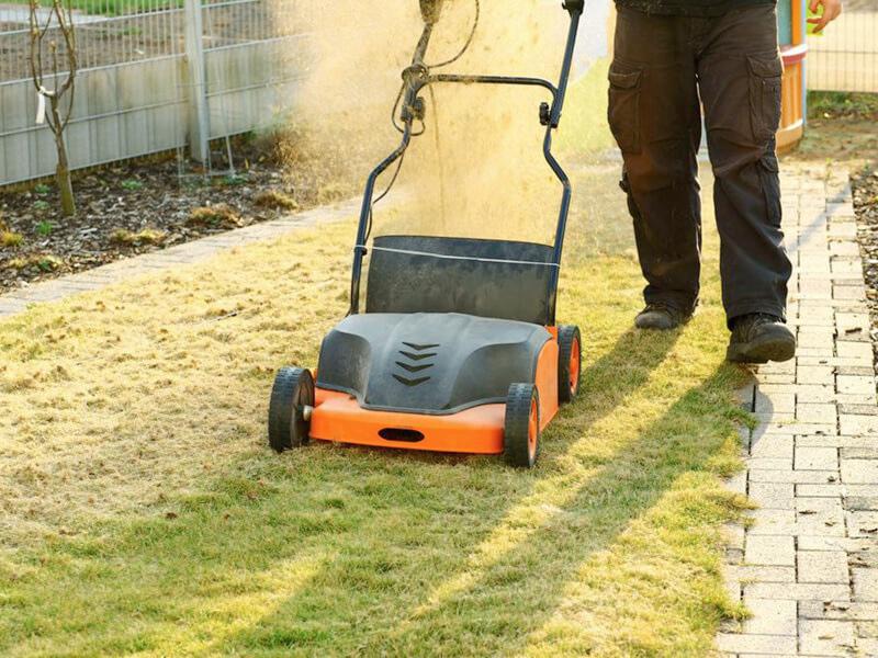 Onderhoud uw gazon door te beluchten of te verticuteren   Onderhoud uw gazon door te beluchten of te verticuteren