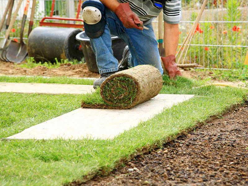 Graszoden leggen: wanneer is de beste periode? Graszoden leggen: wanneer is de beste periode?
