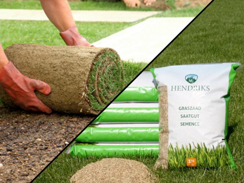 Graszoden of gras zaaien, wat is handiger? Graszoden of gras zaaien, wat is handiger?