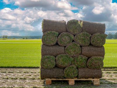 Graszoden bewaren Graszoden bewaren