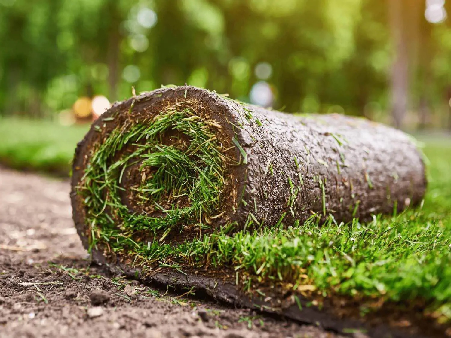 Het verschil tussen gras zaaien en graszoden | Hendriks Graszoden De grootste verschillen tussen graszoden en gras zaaien | Hendriks Graszoden