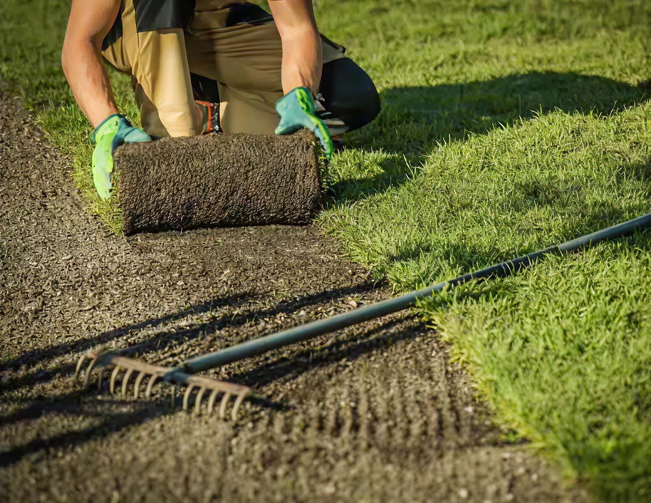 Voorjaarplanning nieuw gazon Graszoden leggen in maart