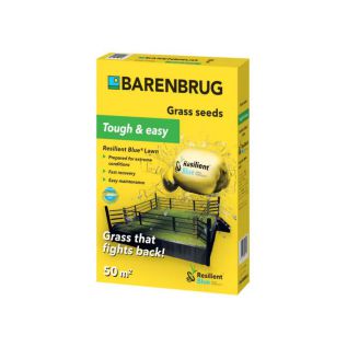 Barenbrug Resilient Blue Lawn graszaad 1 kg | Hendriks Graszoden