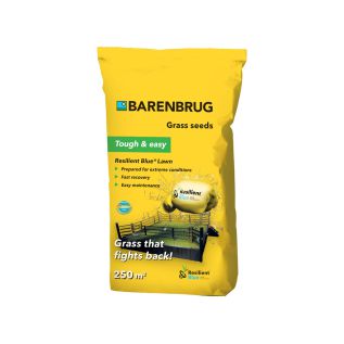 Barenbrug Resilient Blue Lawn graszaad 5 kg | Hendriks Graszoden