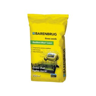 Barenbrug Resilient Blue Lawn graszaad 15 kg | Hendriks Graszoden