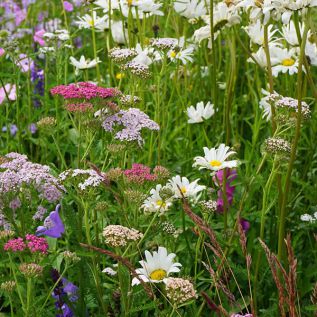 Bloemmat Patchwork Quilt (per m2)