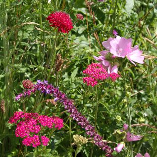 Bloemmat Treasure Chest (per m2)