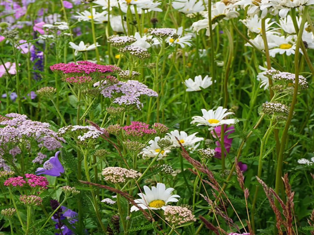 Bloemmat Patchwork Quilt (per m2)