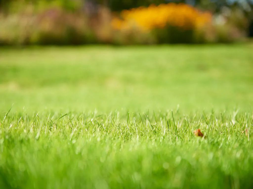 Hendriks Kalk 3kg (50-60 m2)