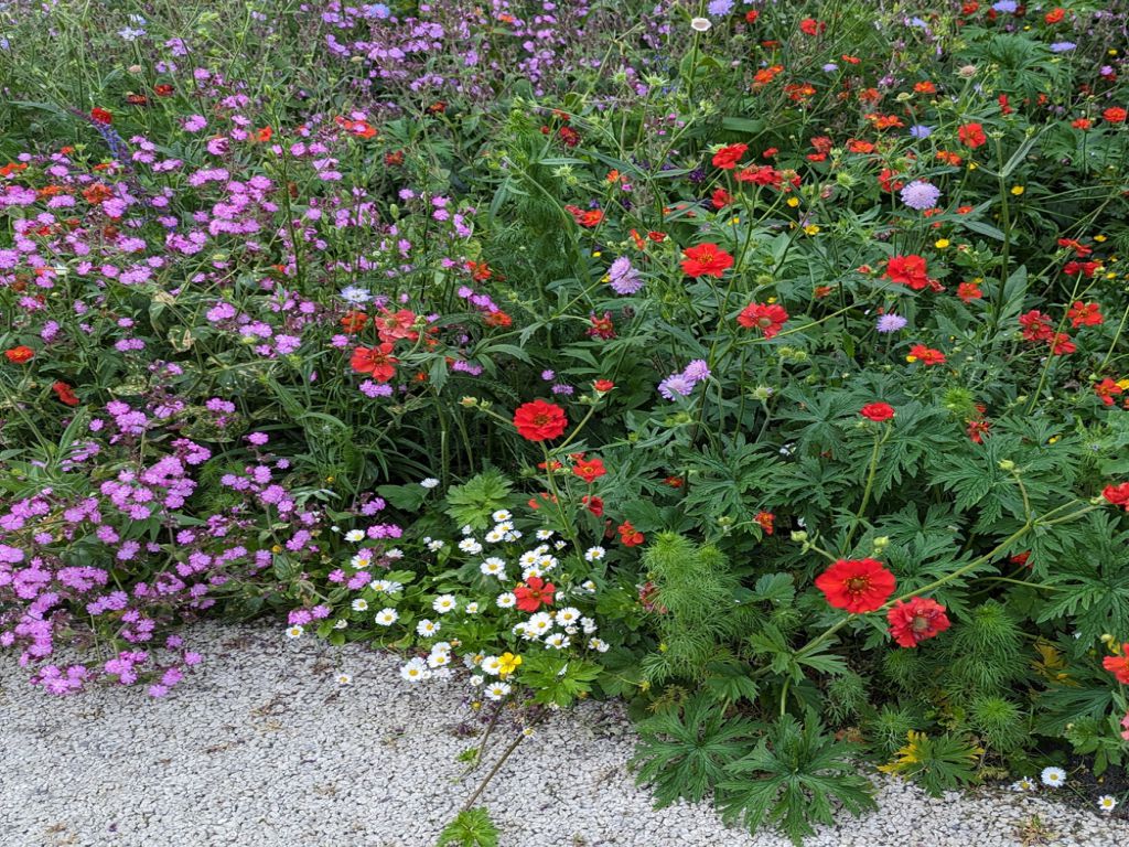 Bloemmat Woodland Fringe (per m2)