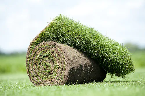 Eenvoudig uw graszoden bestellen Eenvoudig uw graszoden bestellen