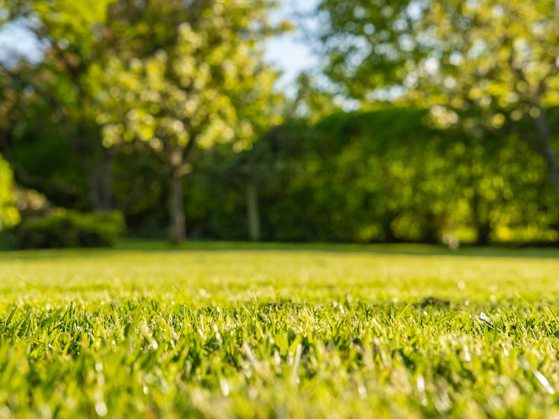 Graszoden Almere Graszoden Almere