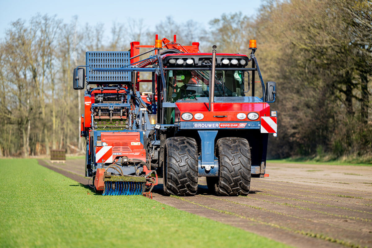 Graszoden Graszoden leggen
