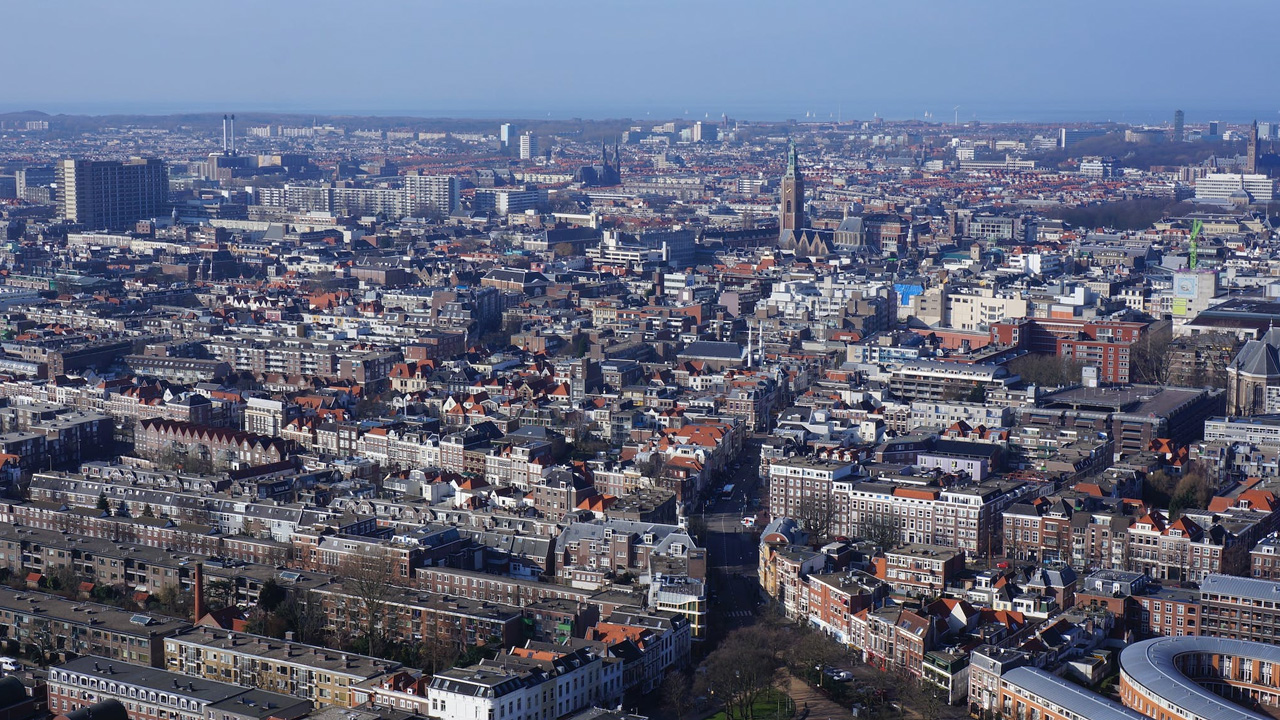 Graszoden Den Haag Graszoden Den Haag