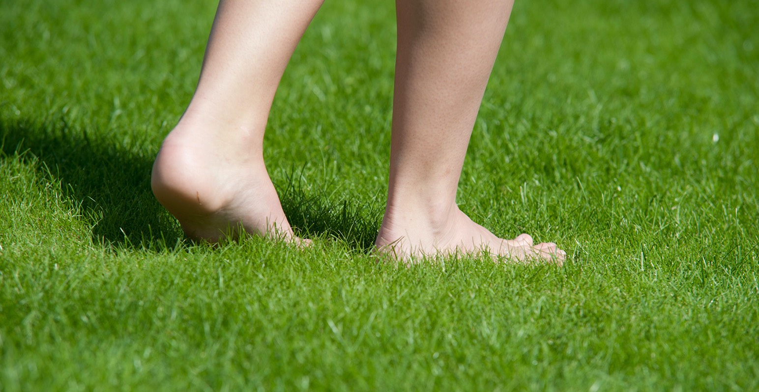 Grasmatten prijs Grasmatten prijs