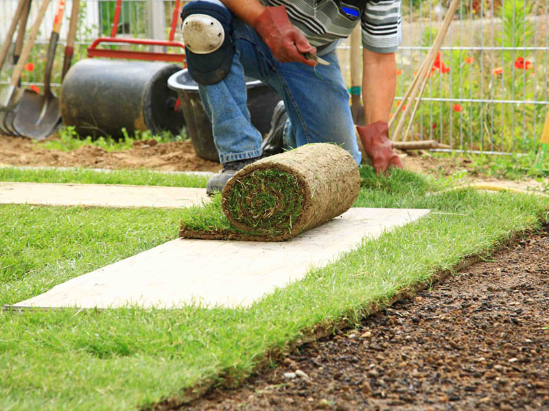 Graszoden leggen prijs Graszoden leggen prijs