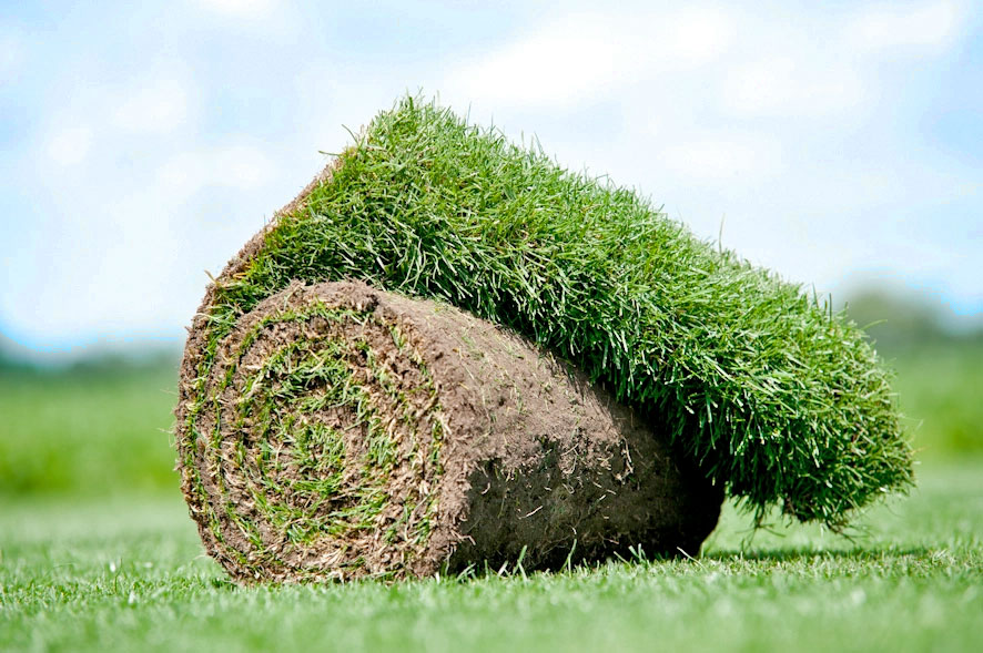 Graszoden bestellen Eenvoudig online bestellen Hendriks Graszoden