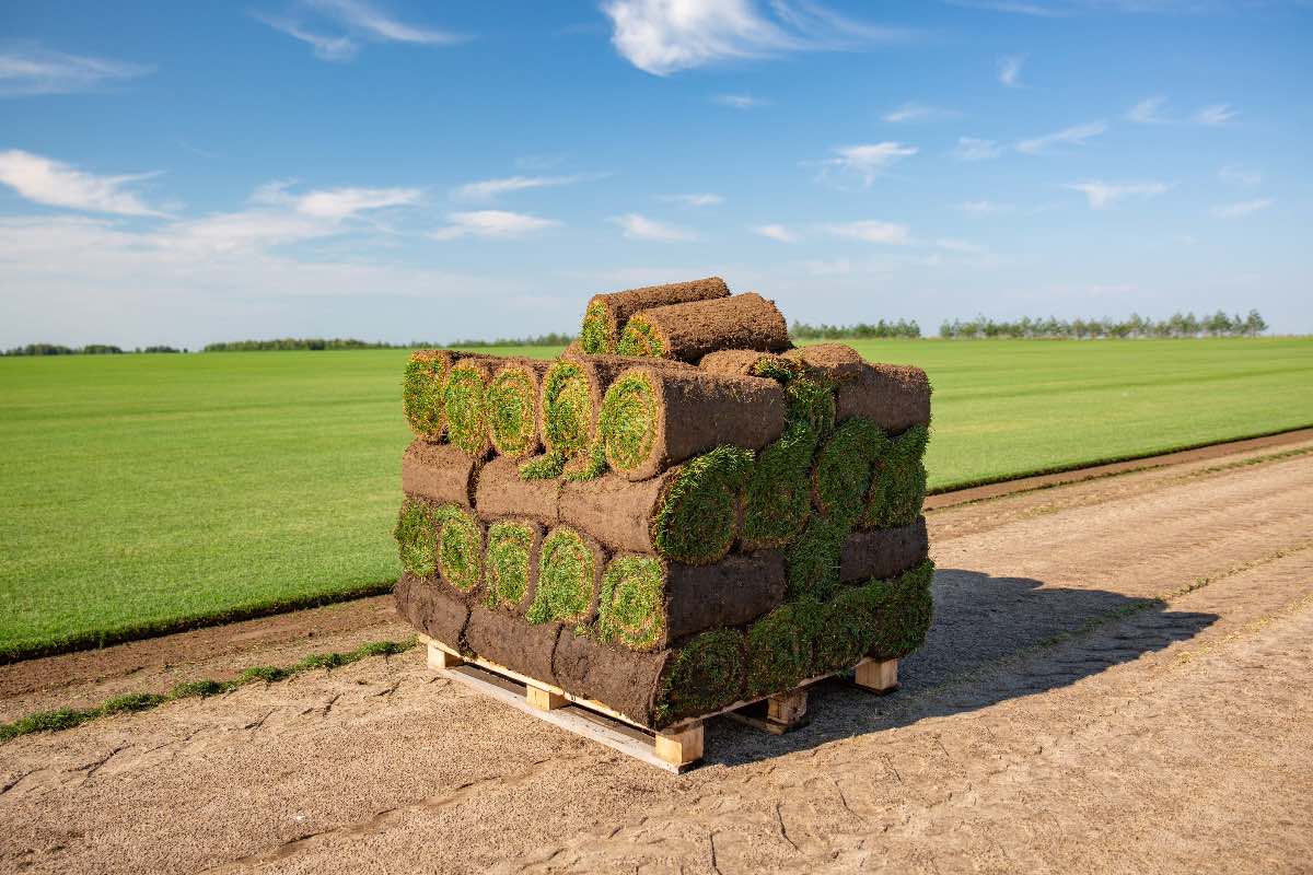 Bepaal hoeveel u wilt bestellen Bepaal hoeveel u wilt bestellen