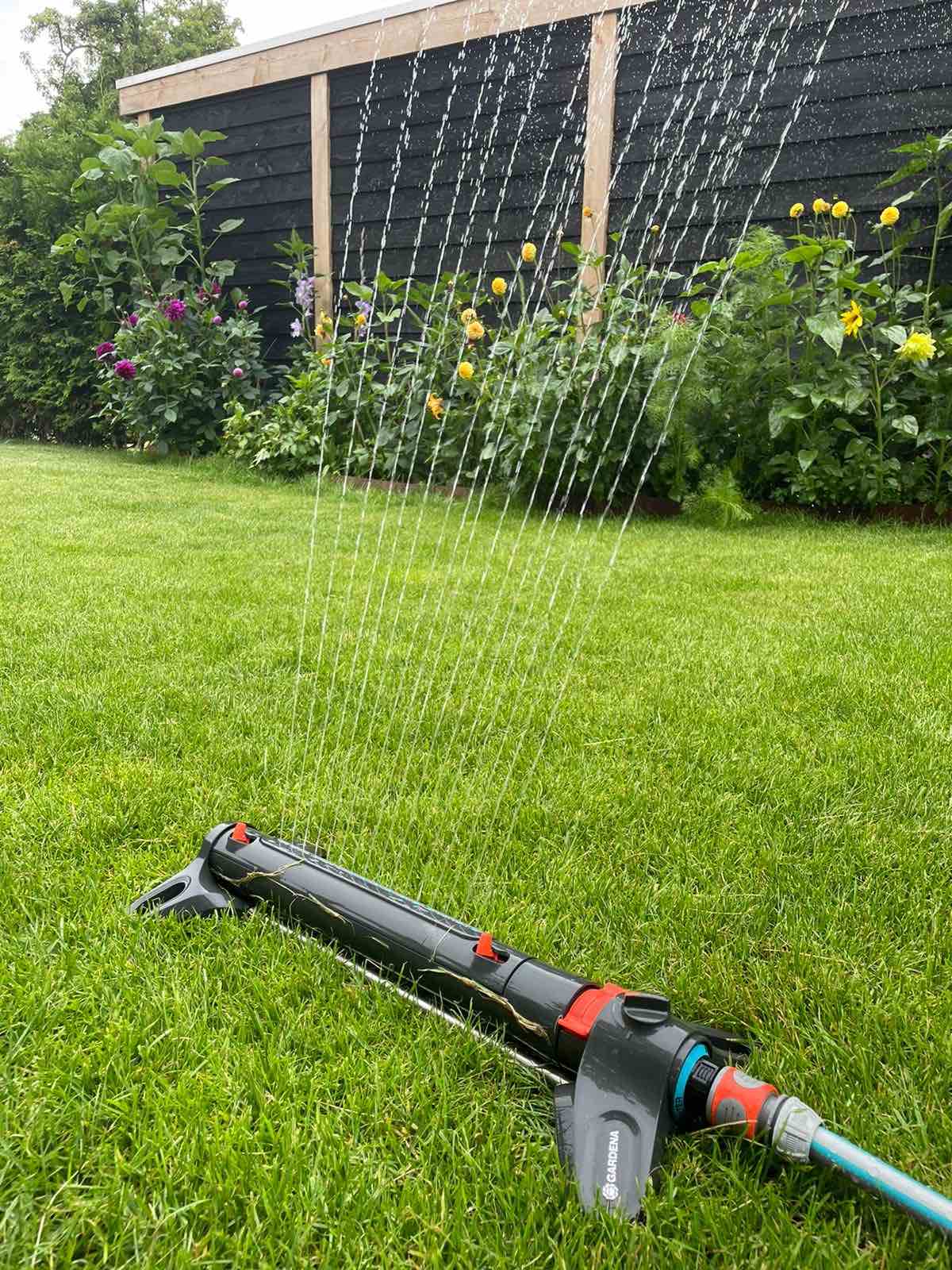 Gras onderhoud Den Bosch Gras onderhoud Den Bosch