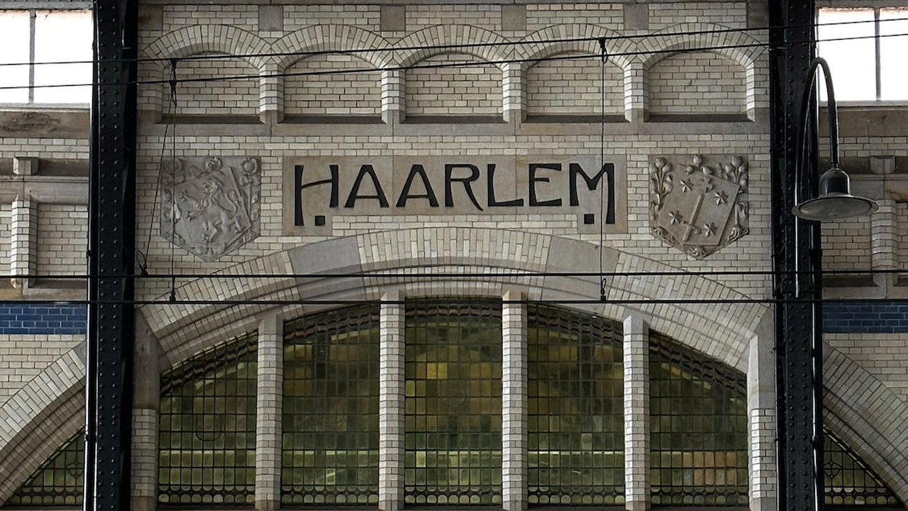 Graszoden Haarlem Graszoden Haarlem