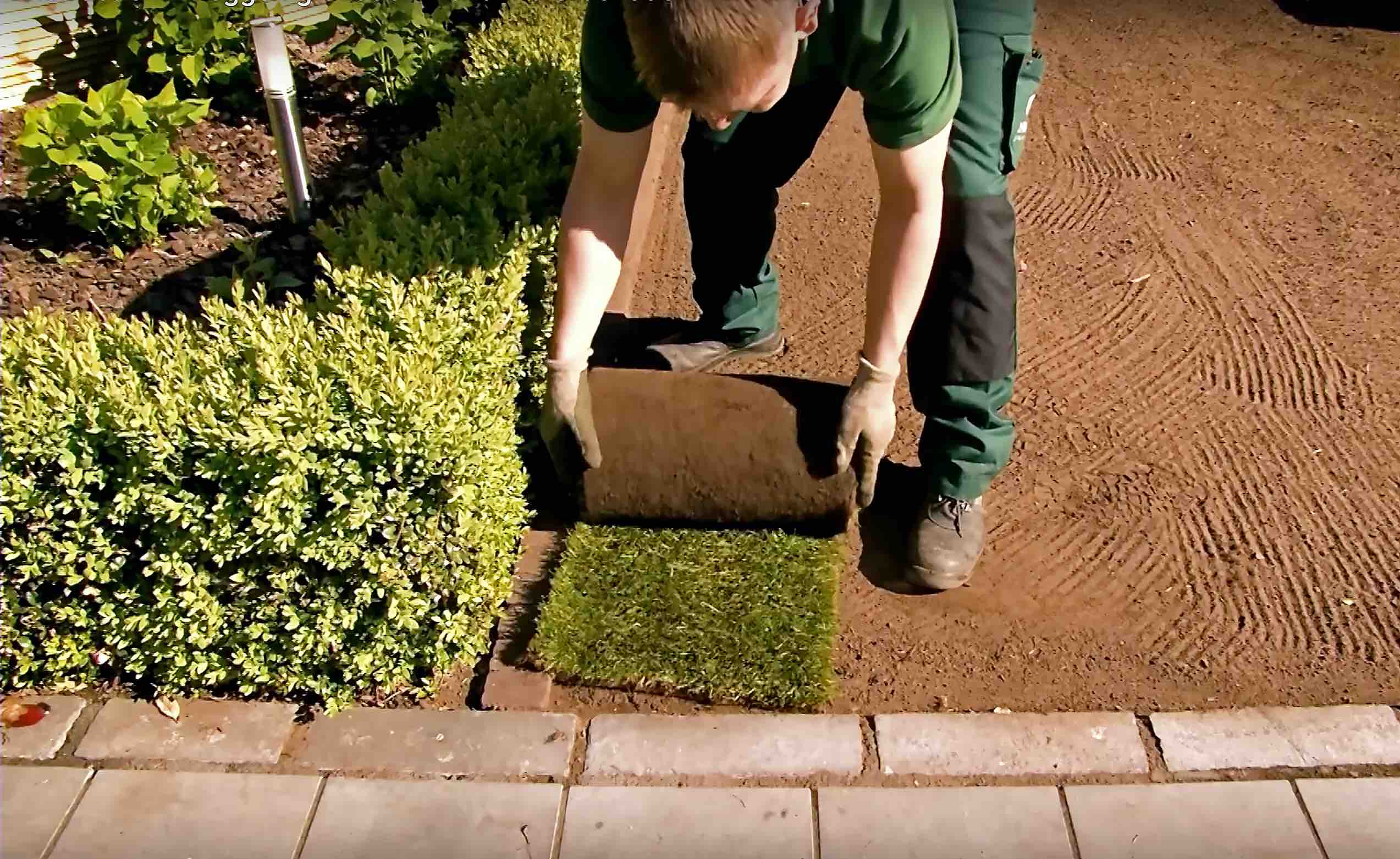 Graszoden laten leggen Deventer Graszoden laten leggen Deventer